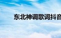 东北神调歌词抖音（东北神调歌词）