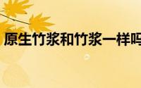 原生竹浆和竹浆一样吗（原生竹浆什么意思）