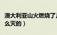澳大利亚山火燃烧了几个月（澳大利亚山火怎么灭的）