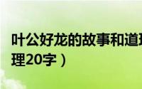 叶公好龙的故事和道理（叶公好龙的意思和道理20字）