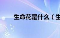 生命花是什么（生命花有哪些品种）