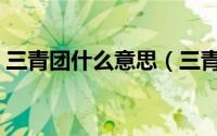 三青团什么意思（三青团是什么性质的组织）