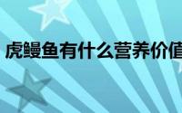虎鳗鱼有什么营养价值（虎鳗不是很难吃么）