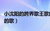 小沈阳的跨界歌王歌曲（小沈阳在跨界歌王唱的歌）
