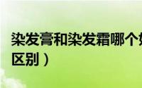 染发膏和染发霜哪个好（染发膏和染发霜有啥区别）