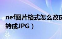 nef图片格式怎么改成jpg（电脑nef格式怎么转成JPG）
