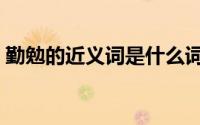 勤勉的近义词是什么词语呢（勤勉的近义词）