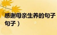感谢母亲生养的句子（感谢生母和养母的经典句子）