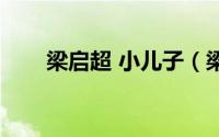 梁启超 小儿子（梁启超小儿子多大）