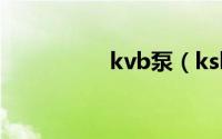 kvb泵（ksb泵怎么样）