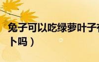 兔子可以吃绿萝叶子有毒吗（兔子可以吃绿萝卜吗）