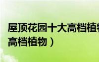 屋顶花园十大高档植物是什么（屋顶花园十大高档植物）