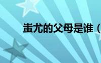 蚩尤的父母是谁（蚩尤是谁的后代）