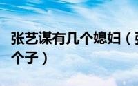 张艺谋有几个媳妇（张艺谋究竟有几个老婆几个子）
