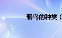 鳽鸟的种类（鸲鸟的种类）