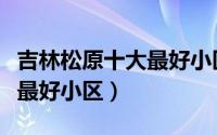 吉林松原十大最好小区是哪里（吉林松原十大最好小区）