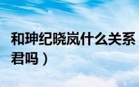 和珅纪晓岚什么关系（和珅和纪晓岚是共侍一君吗）
