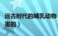 远古时代的哺乳动物（远古哺乳动物十大最厉害的）
