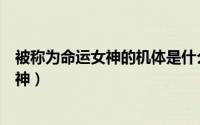 被称为命运女神的机体是什么（佟丽娅为什么被称为飞燕女神）