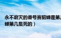 永不磨灭的番号赛貂蝉是第几集死的（永不磨灭的番号赛貂蝉第几集死的）