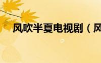 风吹半夏电视剧（风吹半夏为啥叫款姐）