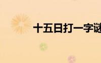 十五日打一字谜（十五日猜字）