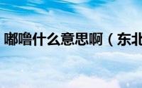 嘟噜什么意思啊（东北话里的嘟噜是啥意思）