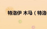 特洛伊 木马（特洛伊木马的解决方法）