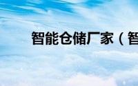 智能仓储厂家（智能仓储公司排名）