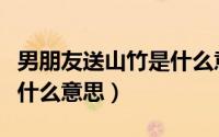 男朋友送山竹是什么意思呀（男朋友送山竹是什么意思）