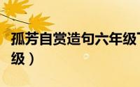 孤芳自赏造句六年级下册（孤芳自赏造句六年级）