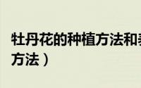 牡丹花的种植方法和养护办法（牡丹花的种植方法）