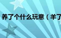 养了个什么玩意（羊了个羊啥意思经典点评）