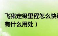 飞猪定级里程怎么快速获得（飞猪里程是什么有什么用处）