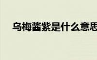 乌梅酱紫是什么意思（酱紫是什么意思）