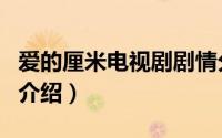 爱的厘米电视剧剧情分集介绍（爱的厘米结局介绍）