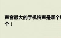 声音最大的手机铃声是哪个软件（声音最大的手机铃声是哪个）
