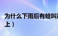 为什么下雨后有蛙叫声（为什么雨后蛙叫一晚上）