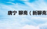 唐宁 聊斋（新聊斋志异唐宁小谢结局）