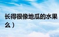 长得很像地瓜的水果（长得像地瓜的水果叫什么）