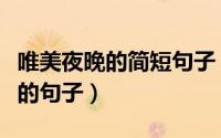 唯美夜晚的简短句子（描写夜晚庭院静谧优美的句子）