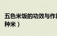 五色米饭的功效与作用（五色米杂粮饭是哪几种米）