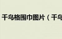 千鸟格围巾图片（千鸟格图案的围巾怎么织）