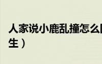 人家说小鹿乱撞怎么回（小鹿乱撞怎么回复男生）