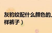 灰豹纹配什么颜色的上衣（灰豹纹上衣配什么样裤子）