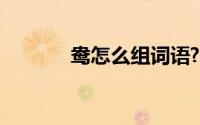 鸯怎么组词语?（鸯怎么组词）