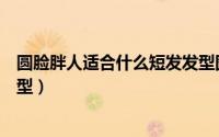圆脸胖人适合什么短发发型图片（圆脸胖人适合什么短发发型）