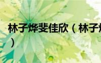 林子烨斐佳欣（林子烨裴佳欣一起演过什么戏）
