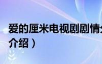 爱的厘米电视剧剧情分集介绍（爱的厘米结局介绍）
