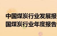 中国煤炭行业发展报告2020（2021-2022中国煤炭行业年度报告）